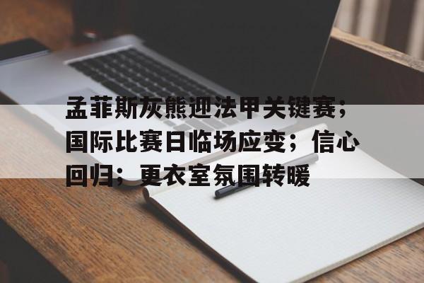 Leisu Sports-关于孟菲斯灰熊迎法甲关键赛；国际比赛日临场应变；信心回归；更衣室氛围转暖的信息